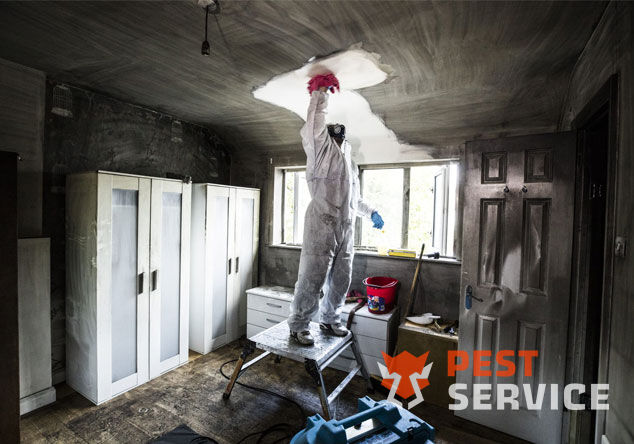 Профессиональная уборка помещений после пожара в Архангельске от 2500 руб: удаление сажи, копоти и запаха гари, глубокая очистка поверхностей и восстановление чистоты. Быстро, безопасно и эффективно.