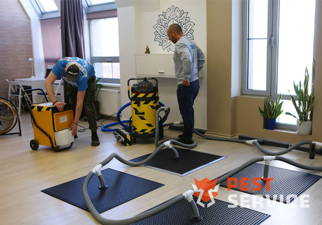 Профессиональная сушка после потопа в Архангельске от 3000 руб. Быстро устраняем влагу, предотвращаем плесень и повреждения. Современное оборудование и опытные специалисты. Безопасно и эффективно.